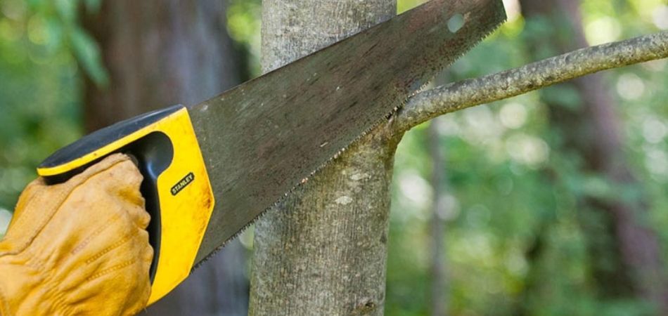 Cutting down trees. Пила Садовая по дереву как выбрать. How to Cut Tree with handsaw.